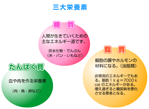 糖質依存症脳神経外科おたる港南クリニック