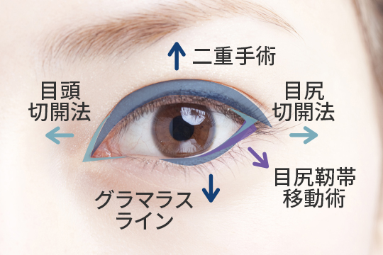 目の形診断 種類一覧や似合うメイクのテクニックを徹底解説│看護師ライフをもっとステキに ナースプラス