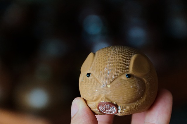 カピバラ Hydrochoerus hydrochaeris 、ジャカルタの動物園で。カピバラは世界で最も大きい生きた齧歯類である 最も大きい絶滅した 齧歯類はPhoberomys pattersoniである 。写真素材2228536679Shutterstock