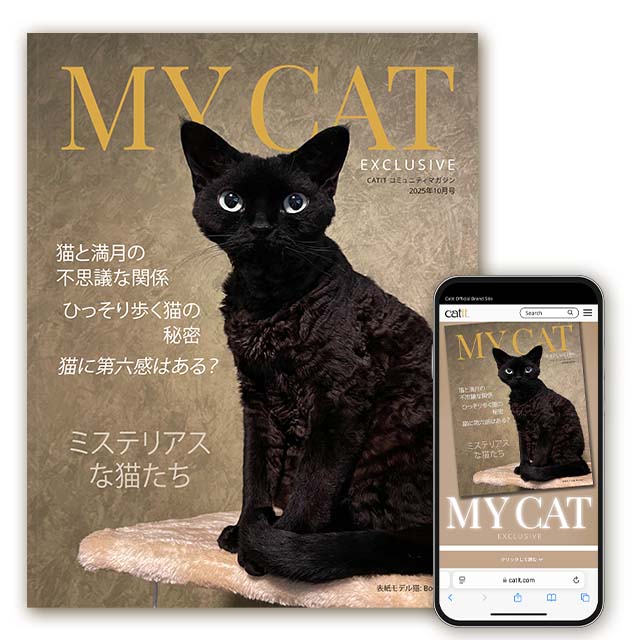 アログルーミングに見る、上下関係。 - たろ*クロ*Chai*月*