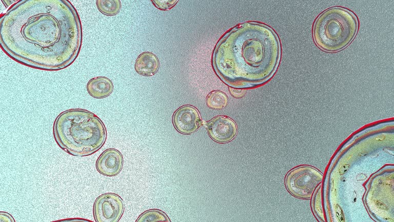 細胞分裂イラスト無料イラスト・フリー素材なら「イラストAC」