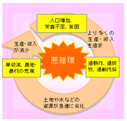 砂漠化防止に向け、世界は団結する必要があるARAB NEWS