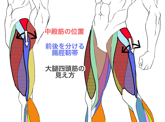 自信満々の筋肉ポーズイラスト・フリー素材なら「シンテリ」