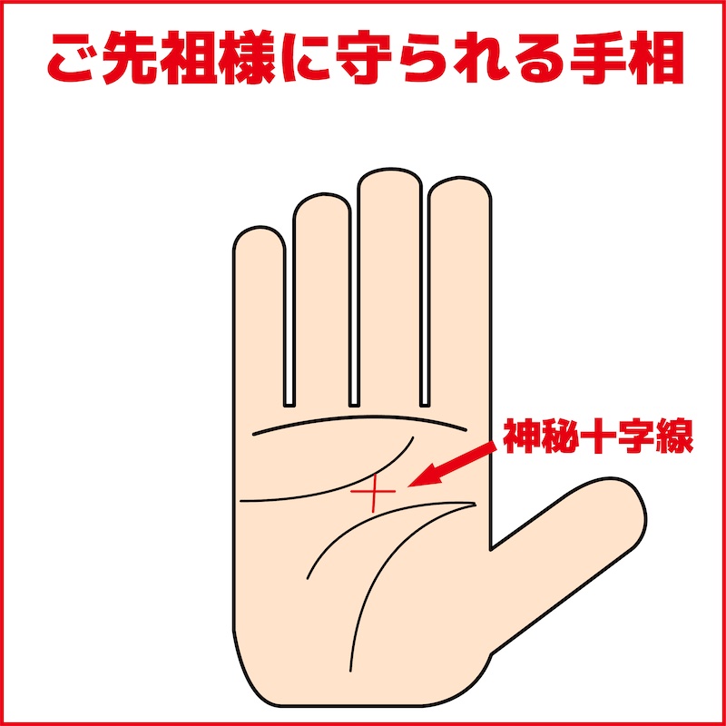 うすい山荘の当主の手相は、両手に、ますかけ線あり、ラッキーM字線や神秘十字線、俵線、運命線、太陽線、財運線、仏眼線 3眼線あります などあります。 -車えび料理専門 うすい山荘