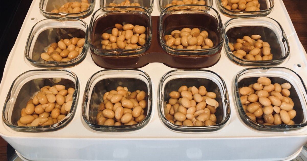 ヨーグルトメーカーで作る！手作り納豆レシピ - haccola 発酵ライフを楽しむ「ハッコラ」