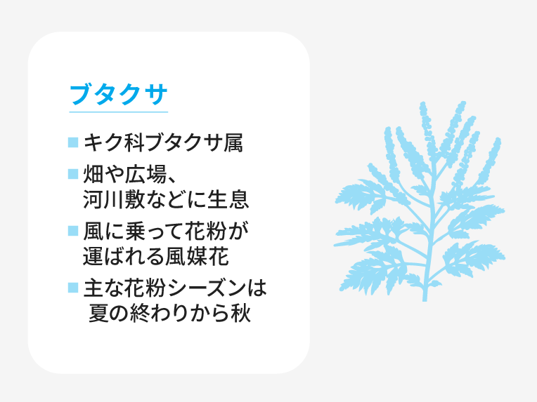 スギ花粉症の4人に3人がブタクサ花粉症の可能性あり@DIME アットダイム
