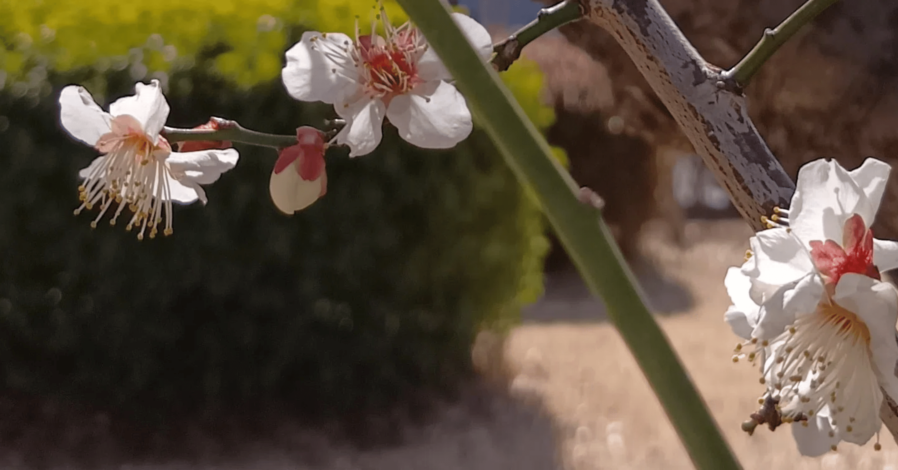 頭脳労働、感情労働、肉体労働松井博