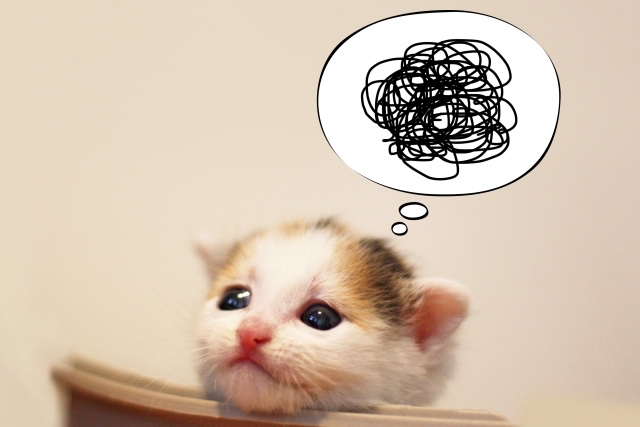 イカ臭い原因！？これが謎の病気、細菌性腟症だ！！医療法人社団 予防会 - コラム・ニュースページ