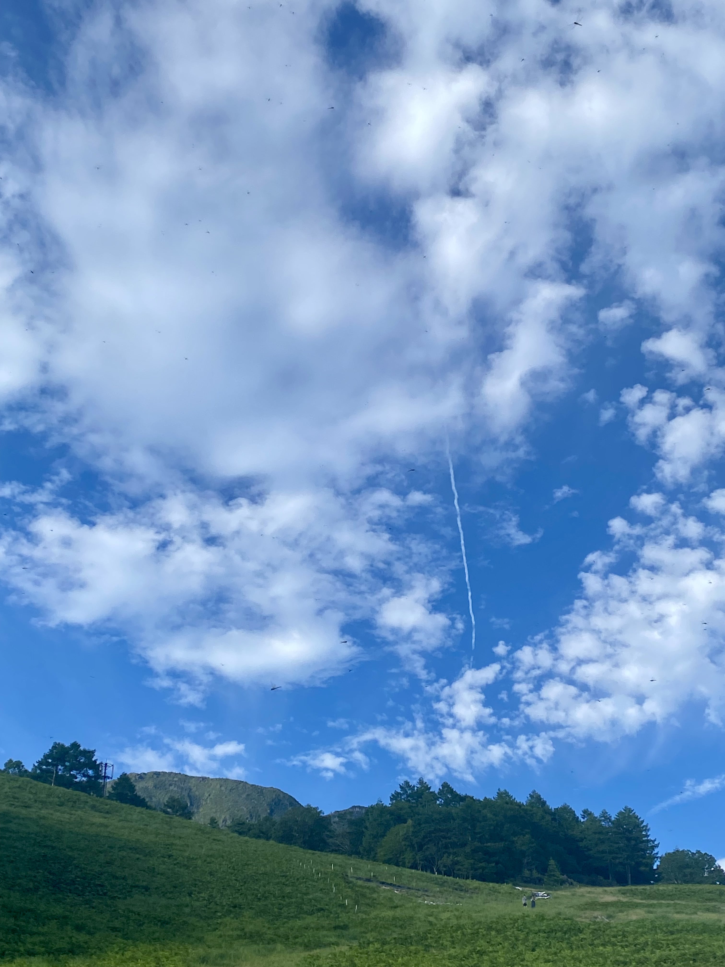 2025年8月8日 ライオンズゲートが開く！宇宙からのエネルギーの効果とはSATORI電話占い