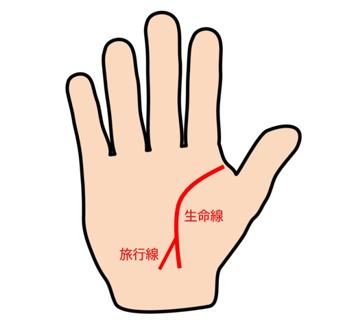 生命線で寿命は本当にわかる？手相占いの生命線の見方と意味まとめ