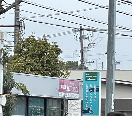 伊勢 アウリィ店 – 三重県・愛知県のマツエク MIMI RUSH ミミラッシュ 公式サイト