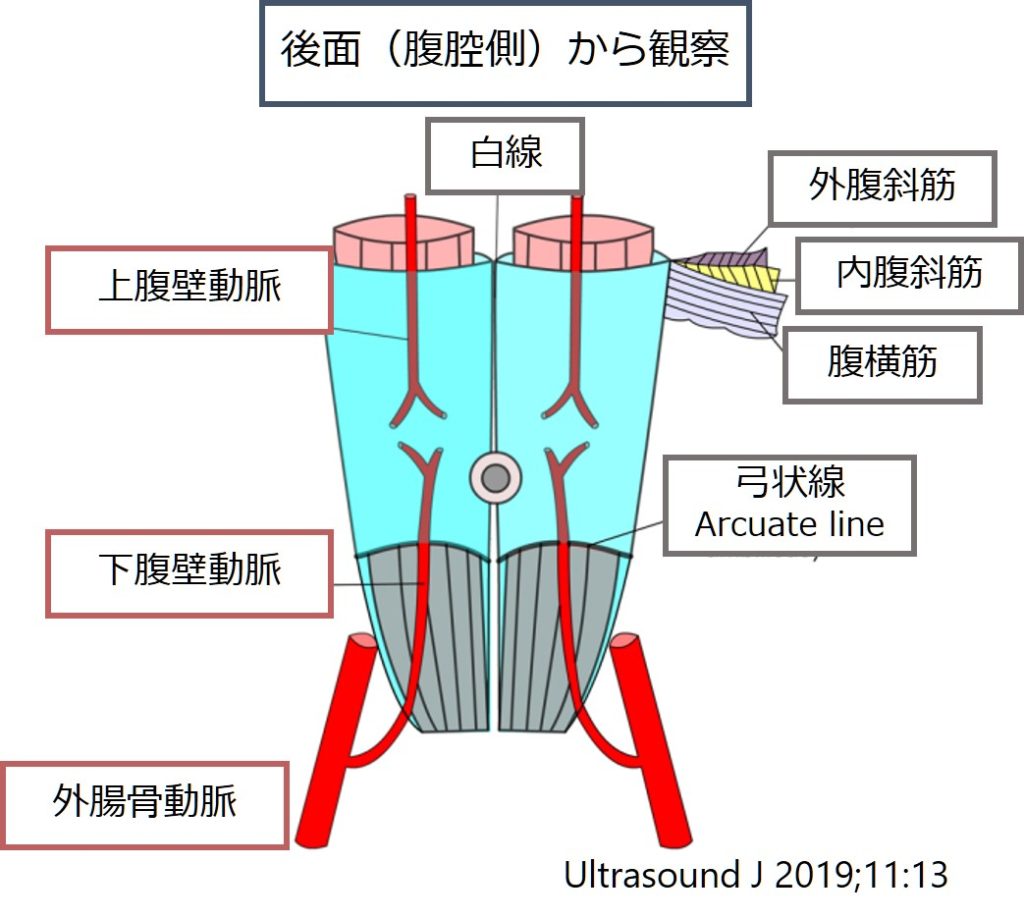 再発しない腹直筋離開のトレーニング藤沢湘南台の『本当に治る』と評判の整体院