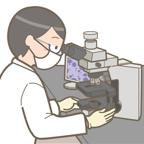 簡単に理解できる 臨床検査技師とは？なるには？徹底解説！：MTの求人・転職なら臨床検査技師JOB