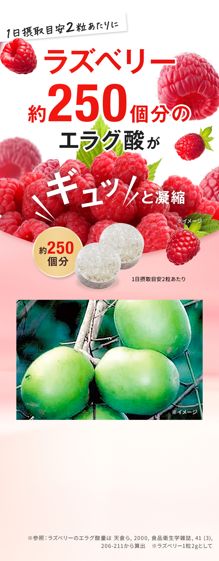 エラグ酸配合の機能性表示食品『メタプラス ウエストマックス 31日分』新発売！株式会社メタボリックのプレスリリース
