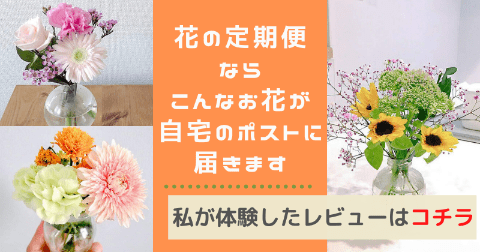 ブルーミー 旧ブルーミーライフ の評判・口コミとプラン・実際使った感想まとめ！クーポンコードも掲載中いがりんく