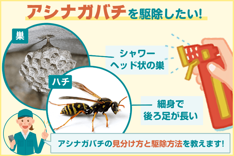 スズメバチ対策には木酢液が効果的？使い方や選び方を徹底解説 - セーフリ