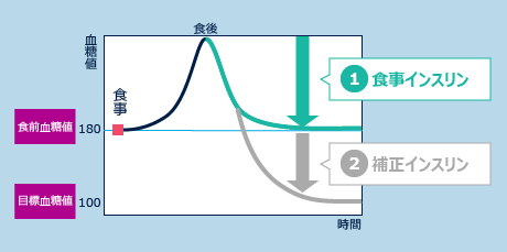 インスリン効果時間別の製剤比較 – 治療効果の個人差と調整 - 神戸きしだクリニック 神戸市中央区
