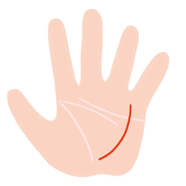 四角紋の見方特徴別に解説するビジュアル手相占いアリスの占い館