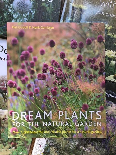 よくわかる 食虫植物 モウセンゴケの基礎知識と雑学 - ふしぎな食虫植物のせかい木谷美咲