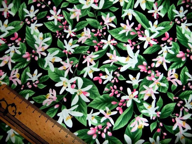 GKZ植物事典・コットン・ヒース