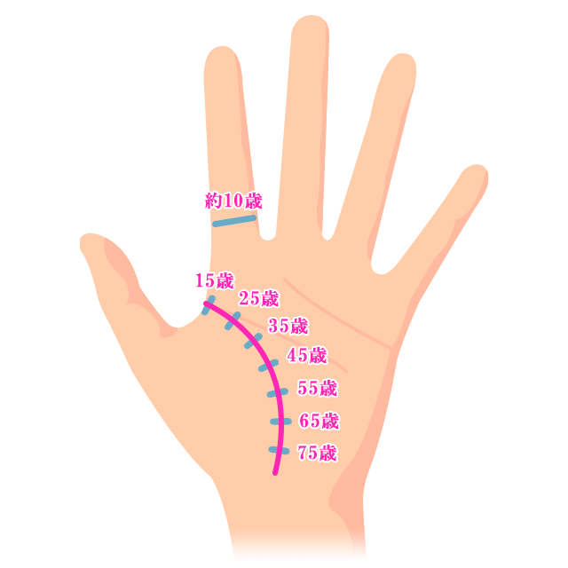 手相をみてください。 -これはなんの意味を表しますか？ 生命線の2.3mm-OKWAVE