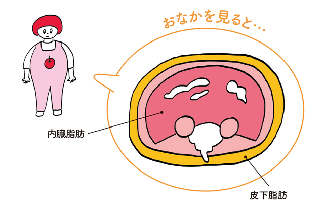 りんご型肥満と洋ナシ型肥満のダイエット方法定番ダイエットAll About