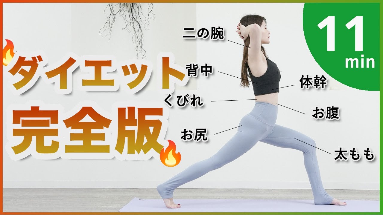 楽天市場185*68*0.8cm ヨガマット 折りたためる 厚み 8ｍｍ エクササイズマット ストレッチ フィットネス トレーニング ティラピス折りたたみ マット エクササイズ ダイエット 健康ヨガ ピラティス フィットネス トレーニング マット コンパクト プレイマット 運動