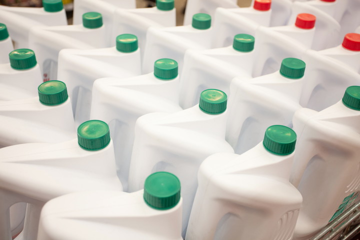 スズメバチの活動時期は？ 11月まで続く中、一番油断しやすい夏から秋に注意