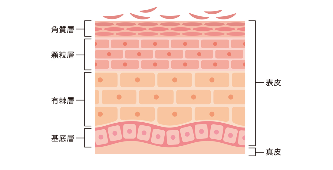 批評とは「表層」の体験である——蓮實重彦『表層批評宣言』を読むそんそん