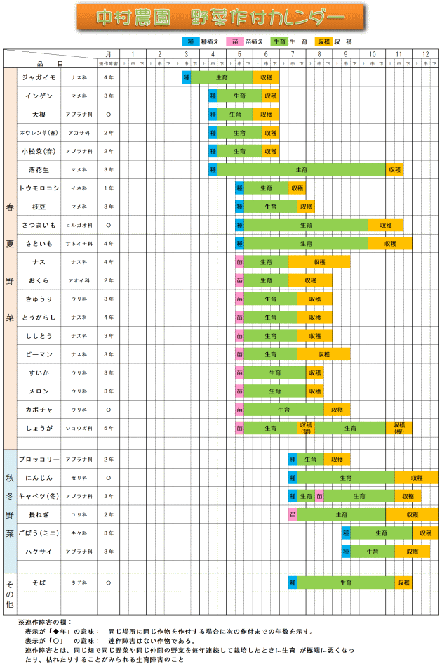 野菜作付予定 - 中村農園