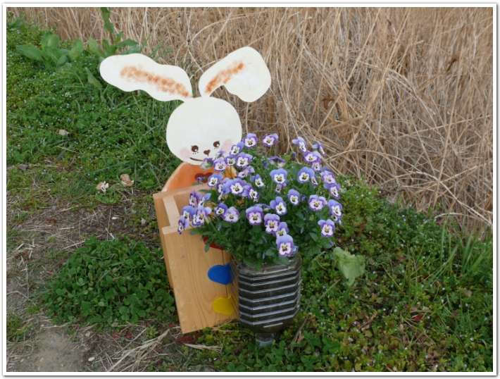 作り方大公開！ ペットボトルで作るオリジナルプランター！ファームマエストロ 鈴木あさみ's おうち畑キッチン