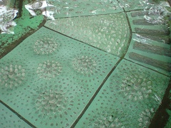 八面大王足湯 - 安曇野ニフティ温泉