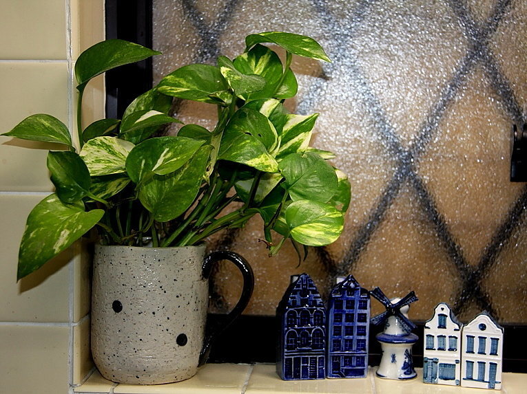 ポトスの葉が黄色くなる原因は？根腐れを起こす過剰な水やりに要注意！ラブリープランツ