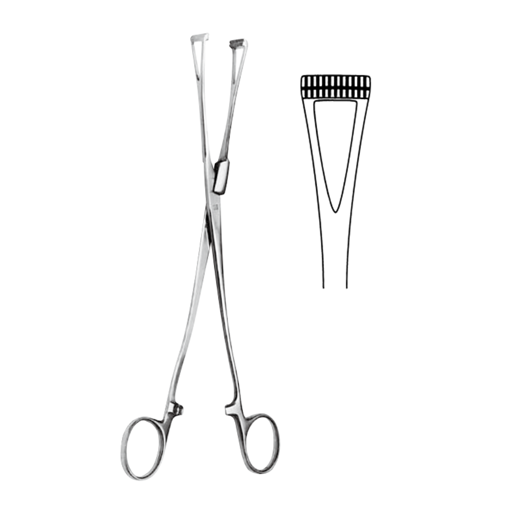 コッヘル鉗子鉗子 1看護roo! カンゴルー