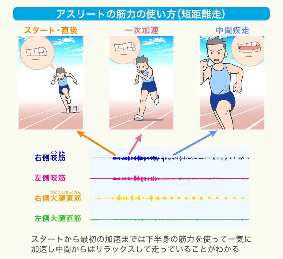 食べ物の噛みやすさが数値でわかる！？ – 噛むこと研究室