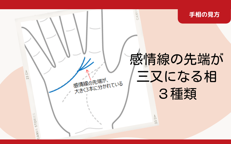 みんなは生命線の始まり どうなってる？ 生命線と頭脳線が重なっている場合 が高いので、自分の手相と比べながら 是非、最後までご覧下さいね✨\簡単に学べる手相を発信中🖐️鑑定依頼はプロフィールまで👈手相 手相鑑定 自己分析 性格診断橿原神宮 奈良県 占い