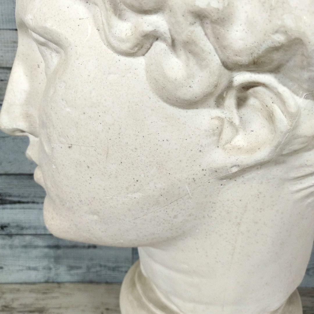 送料込み 石膏像 パルテノン ラボルト 首像 インテリア オブジェ