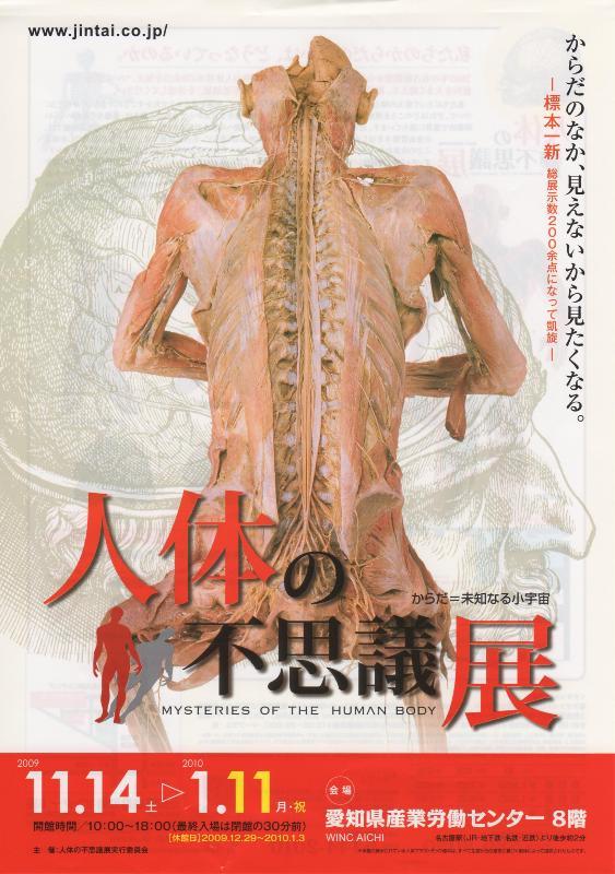 希少品 人体の不思議展 ガイコツ うさぎ 人体の不思議展ヴォルス ブックス古本、中古