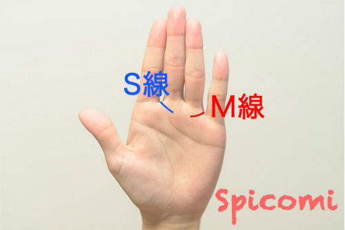 手相にMの字があったらラッキー？ 左手・右手・濃さ・長さ別での意味を解説「マイナビウーマン」