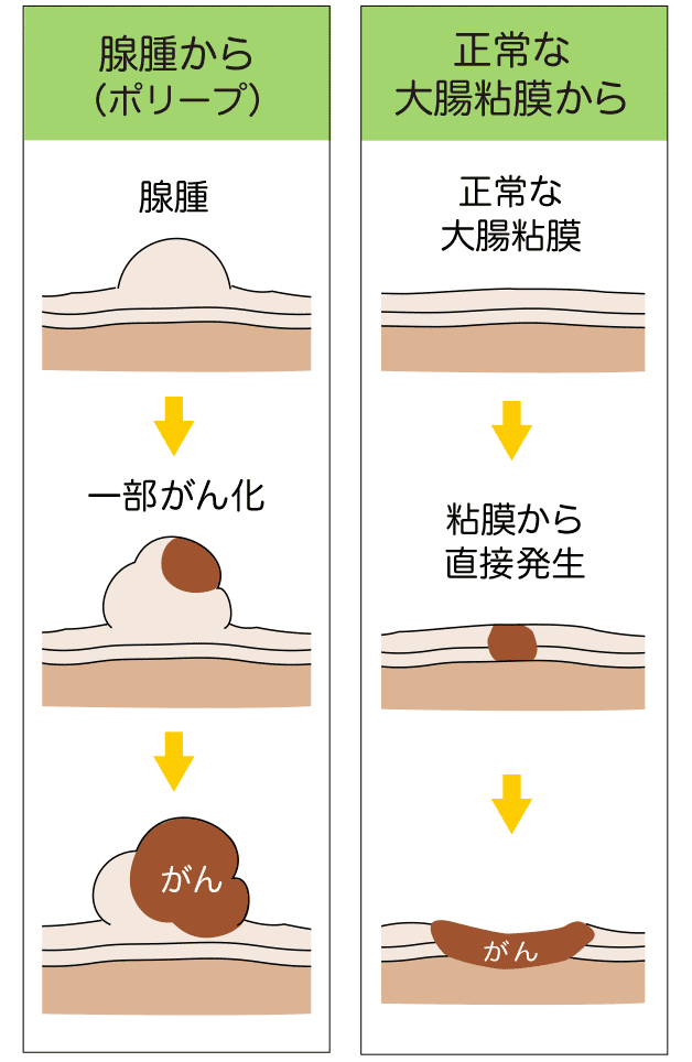 過敏性腸症候群 腹痛・下痢・便秘 北九州市の白𡈽医院までJR折尾駅徒歩2分