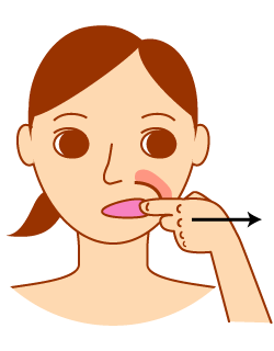 女性の表情筋のイラスト素材104742714- PIXTA