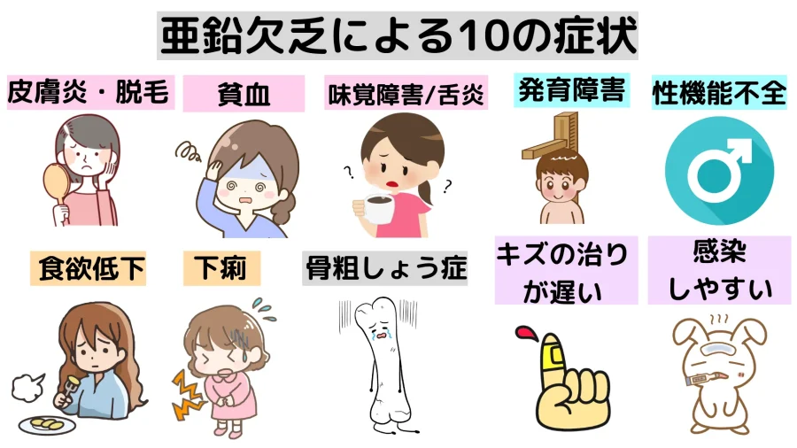 亜鉛不足による「10の症状」について 皮膚症状・舌炎などひまわり医院 内科・皮膚科