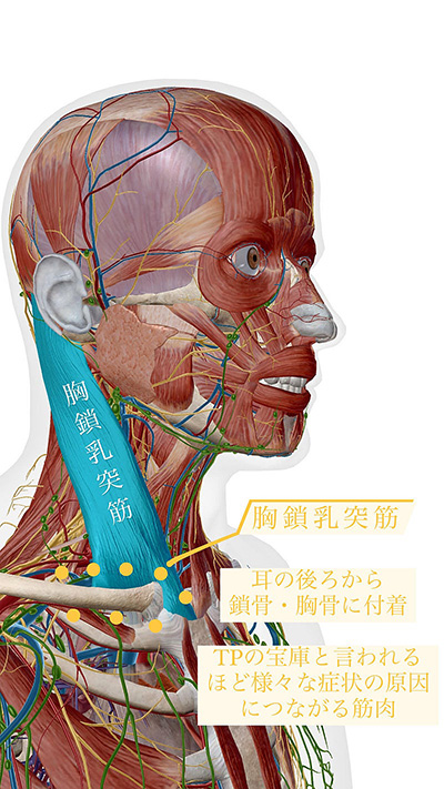 インフルエンザと新型コロナウイルス感染症症状の違いや予防策米盛病院Webマガジン SmaHapi～スマハピ～まわりの人たちの笑顔のために