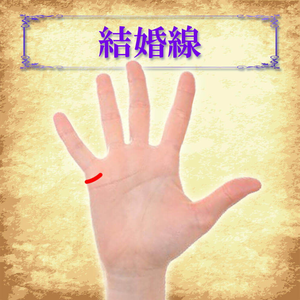 結婚線とは？結婚線が示すサインや見方・特殊なケースを解説日本占い師協会 JFTA