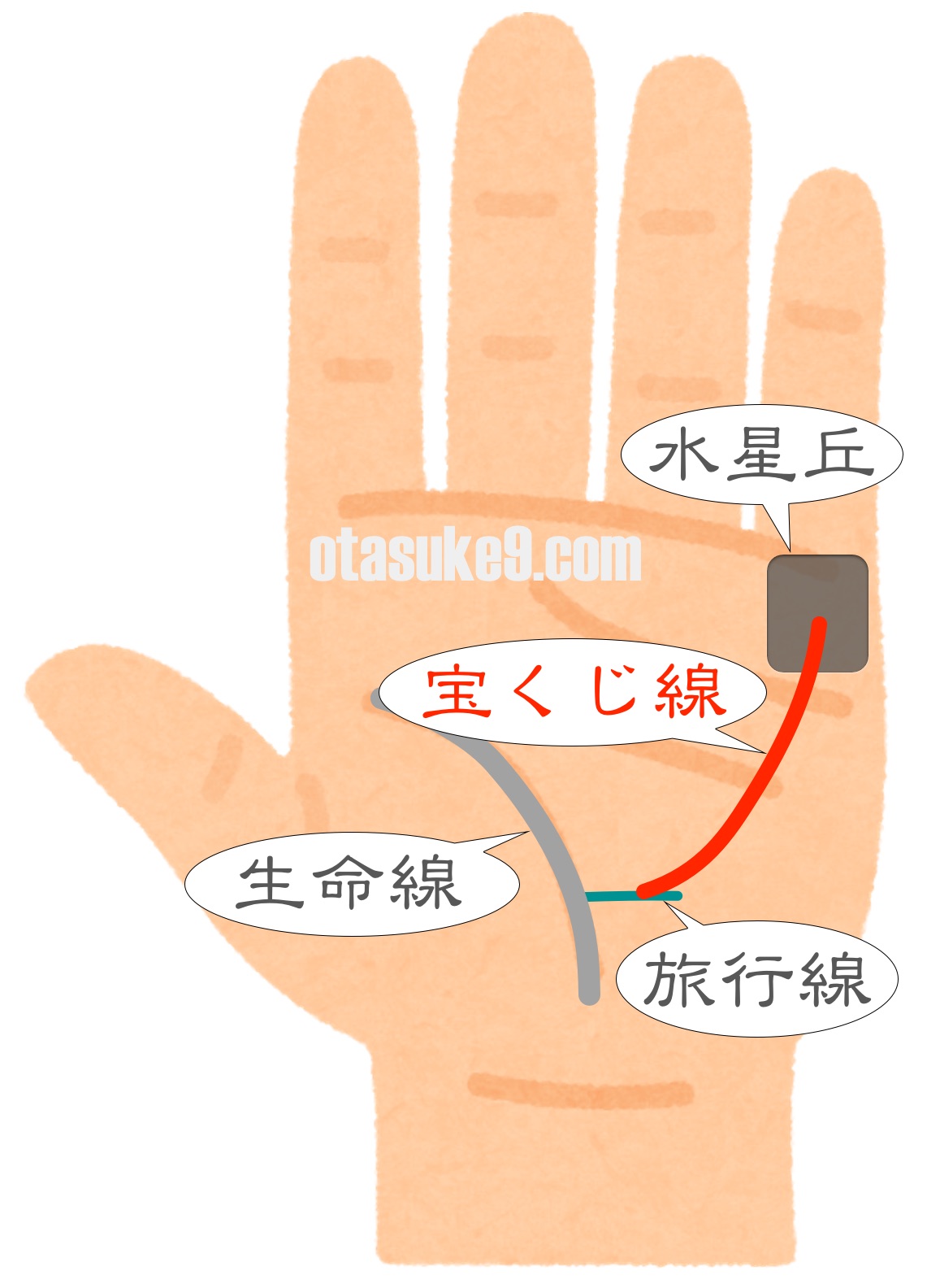 小指から生命線に伸びる線TikTok