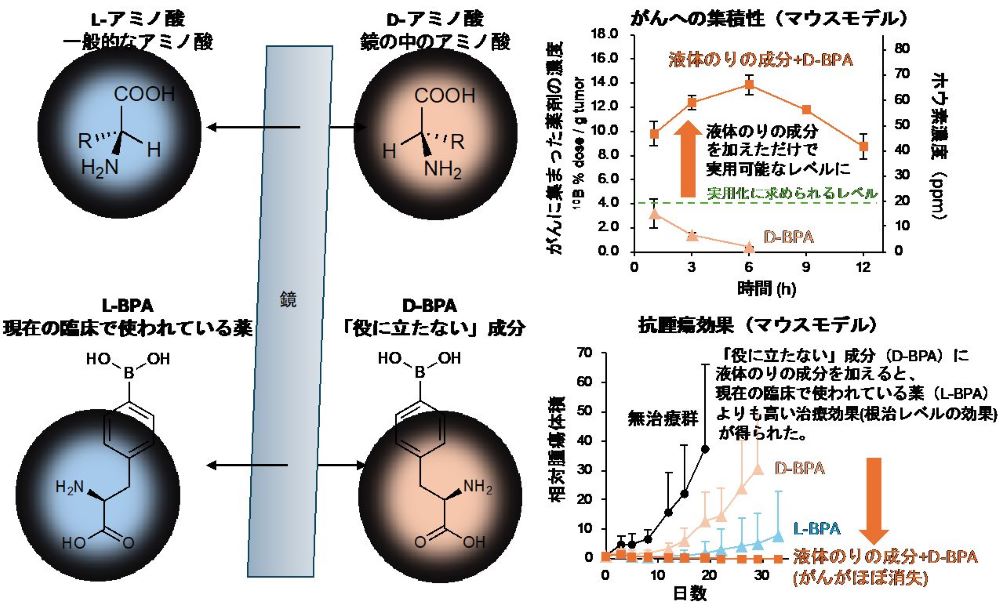 ホウ素中性子捕捉法 BNCT の現状と将来の展開08-02-02-18- ATOMICA