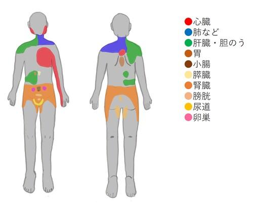 西宮lギックリ背中、腰痛、偏平足による痛みが全てなくなりました西宮、宝塚で根本改善の整体ならひこばえ整骨院へ