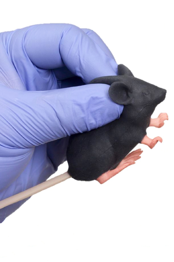 学習指導 - 埼玉県立羽生第一高等学校