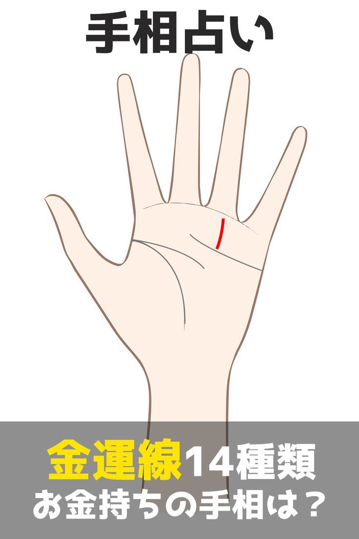 頭脳線 知能線 とは？ 意味と見方を解説 手相占い1ページ目 「マイナビウーマン」