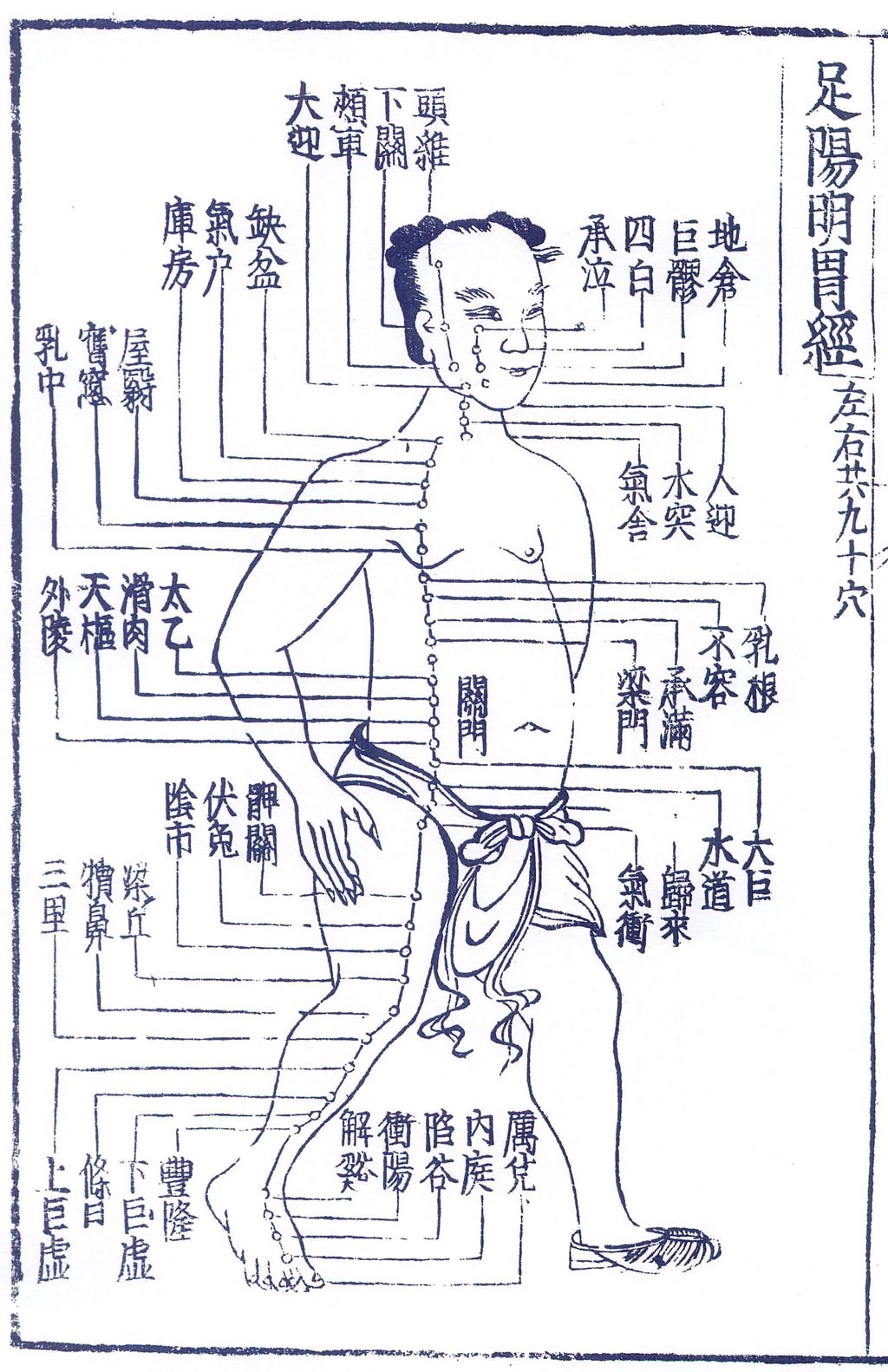 経絡～足の太陰脾経・翁鍼灸治療院 ツボと鍼灸